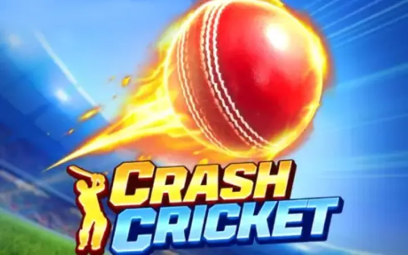 Place bets and play JeetBuzz Crash Cricket.